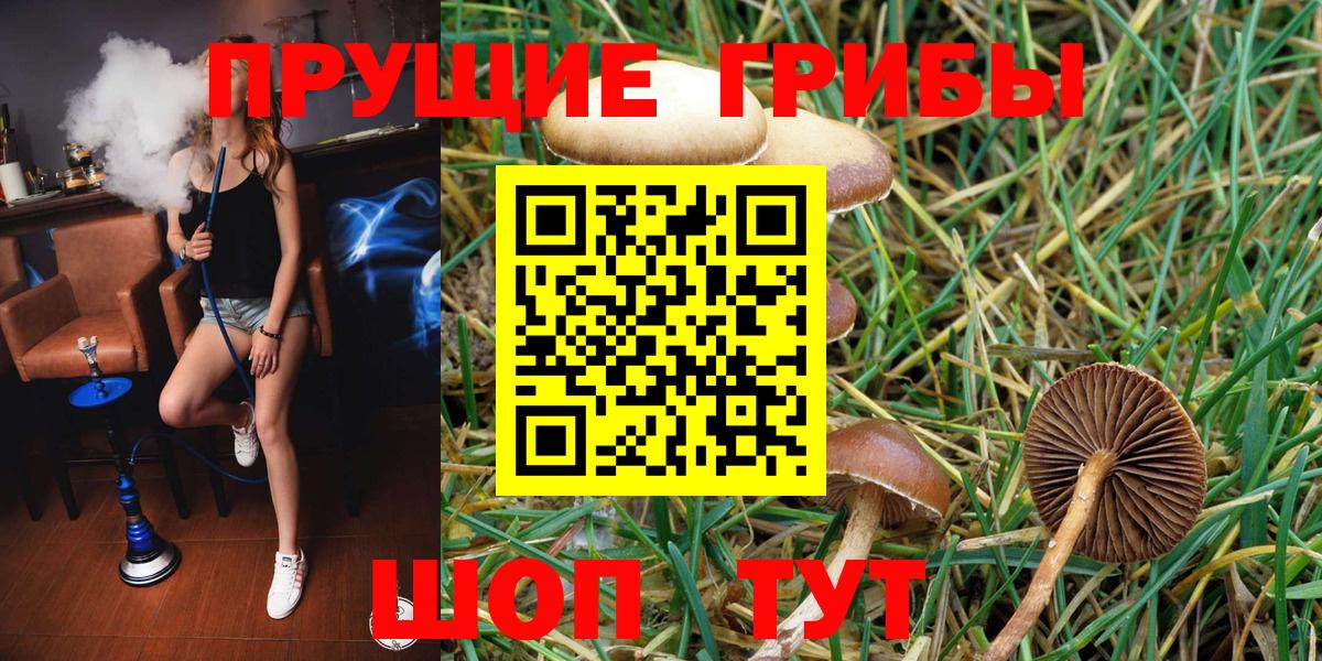 Нефтекумск  Псилоцибиновые грибы мухоморы  Вход с VPN 